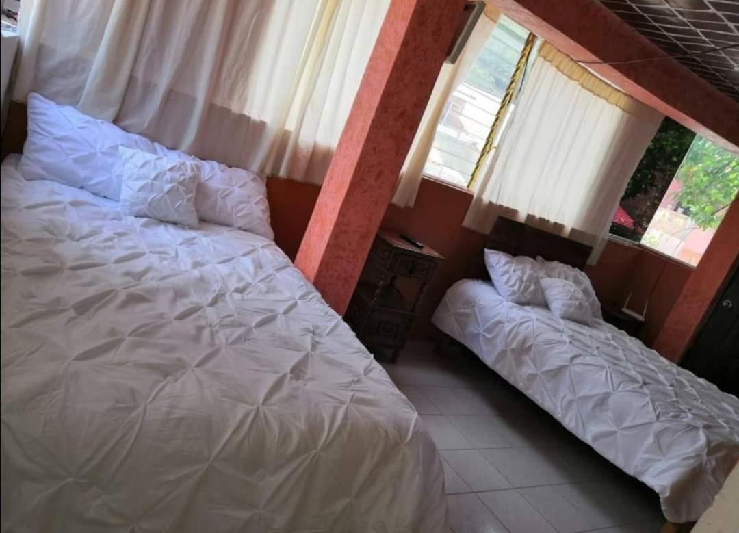 La Casa De Los Mangos Ajijic San Antonio Tlayacapan Esterno foto