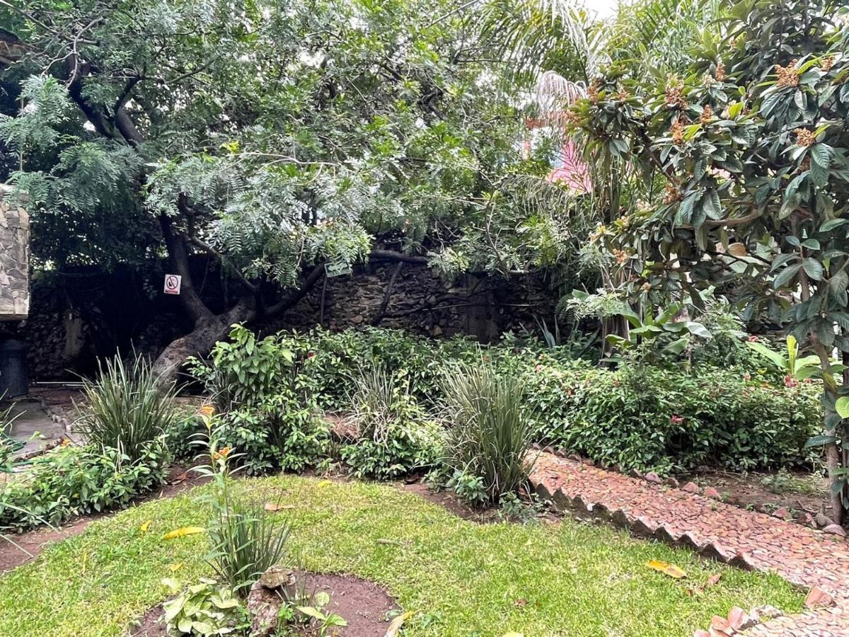 La Casa De Los Mangos Ajijic San Antonio Tlayacapan Esterno foto