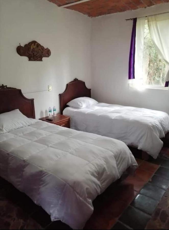 La Casa De Los Mangos Ajijic San Antonio Tlayacapan Esterno foto