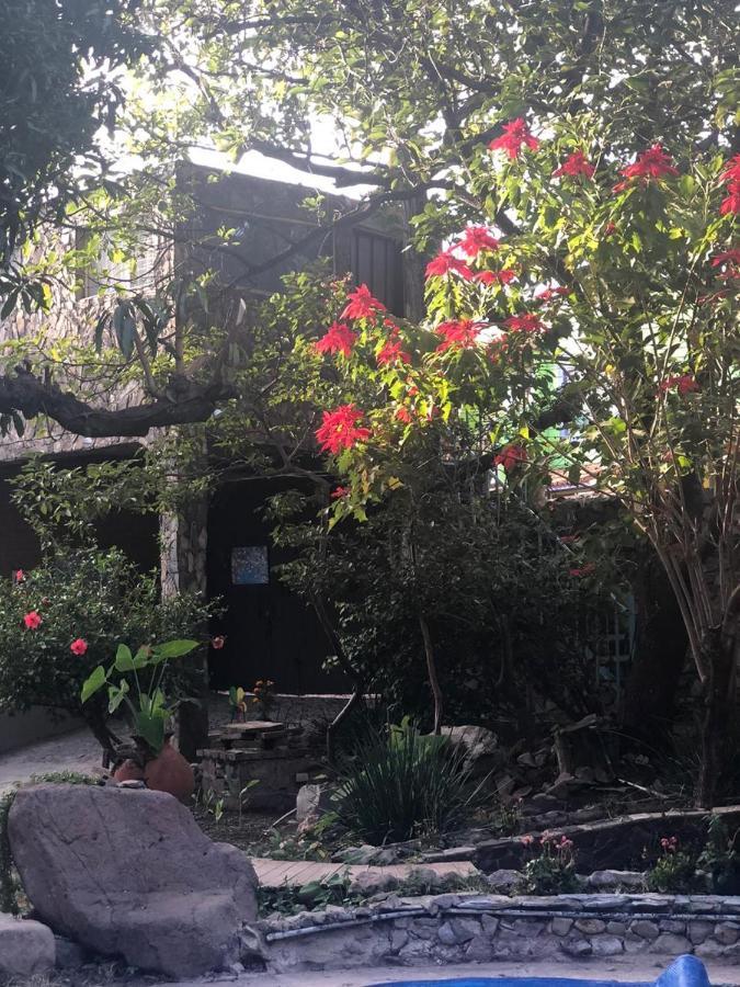 La Casa De Los Mangos Ajijic San Antonio Tlayacapan Esterno foto